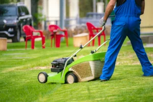 Instant Lawns South Africa